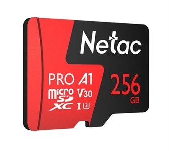 Карта памяти MicroSDXC 256GB Class 10 Netac P500 Extreme Pro
